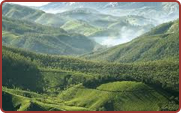 Munnar Hill Station Packages