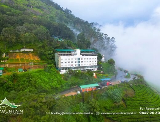 Misty Mountain Resort