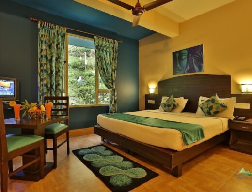Misty Mountain Resort