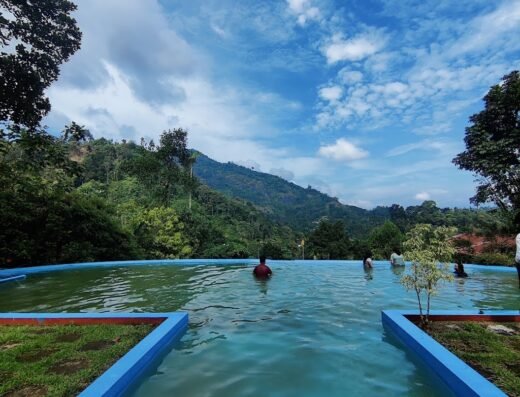 Moon Hill Munnar & Nature Retreat & Jungle Resort
