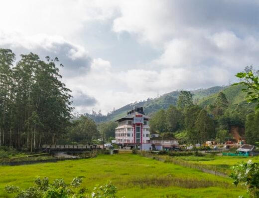 Hotel Hillview Munnar