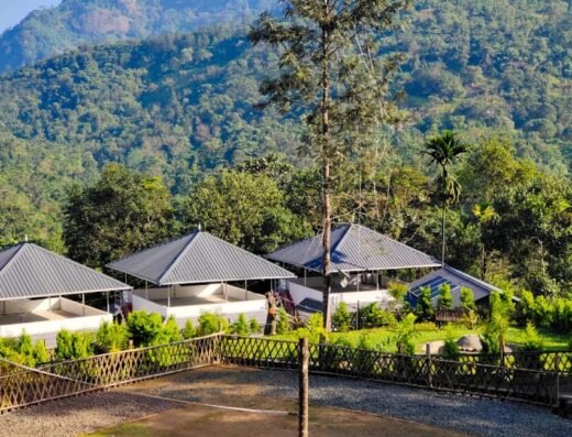 Moon Hill Munnar & Nature Retreat & Jungle Resort