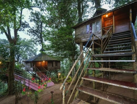 Nature Zone Resort Munnar – Tree House, Luxury Tents, Munnar