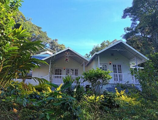 Rainforest Munnar Resort