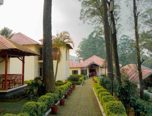 Tea County Munnar