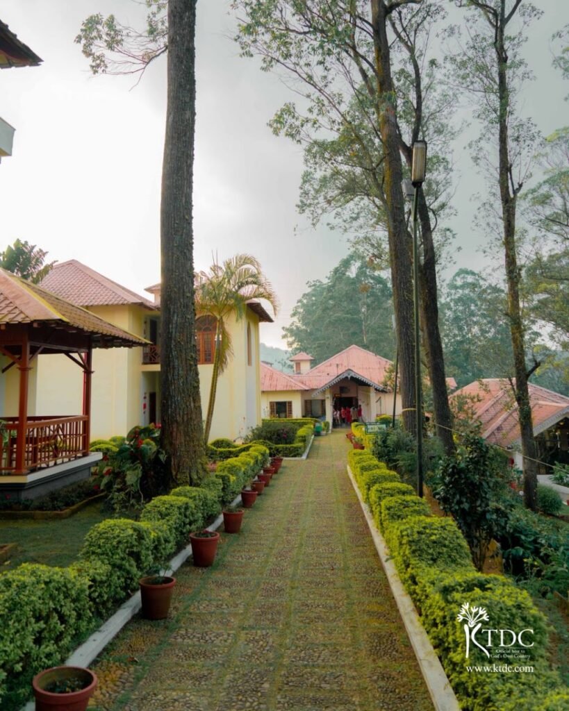 Tea County Munnar