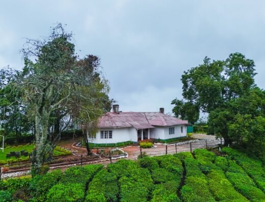 Arivikad Tea Bungalow Munnar by VOYE HOMES