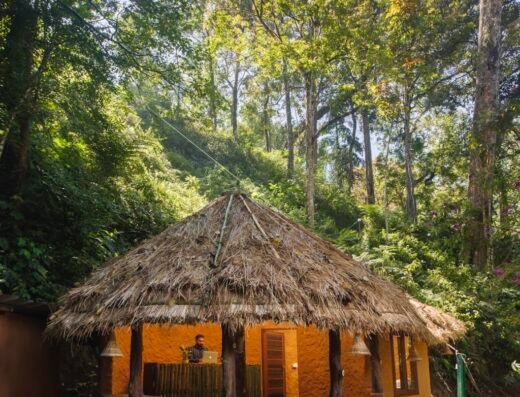 Ela Ecoland Munnar – A Nature Retreat