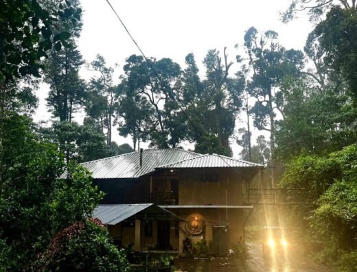 FREEDOM HOUSE, Munnar – A Backpackers Hostel