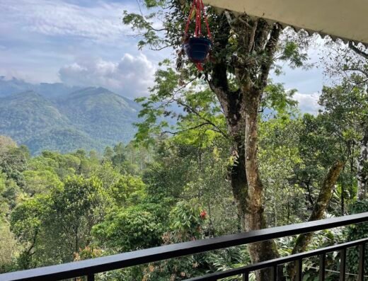 Green Tea View Homestay