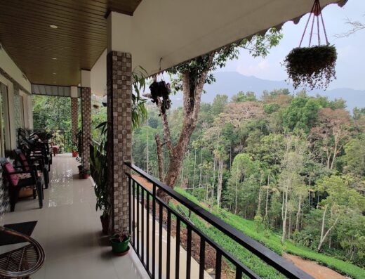 Green Tea View Homestay