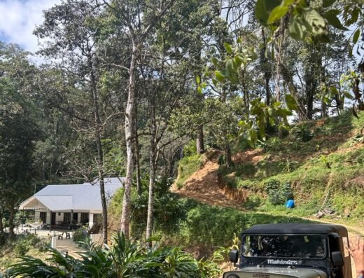 Hidden Haven Munnar