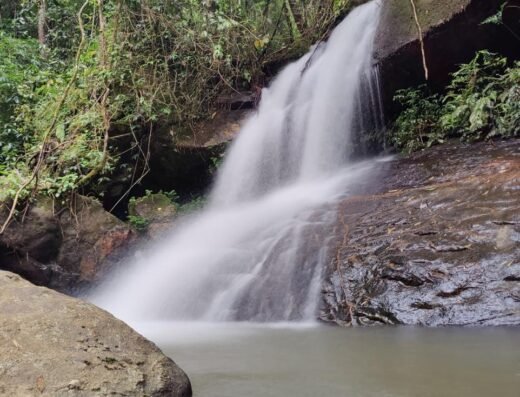 Hidden Haven Munnar