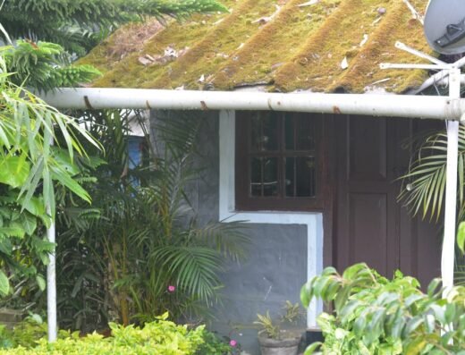 Homestays