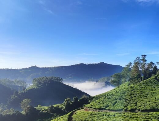 Madupatty Bungalow, Munnar, amã Stays & Trails