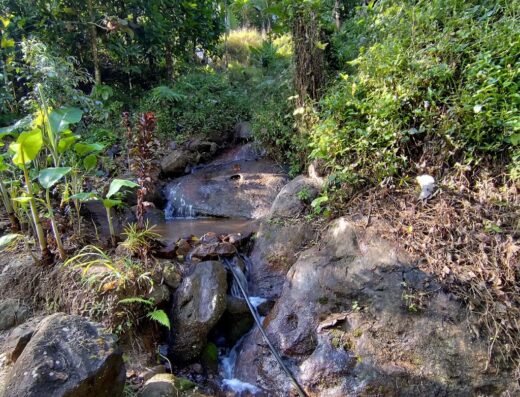 Maliyeckal Homestay