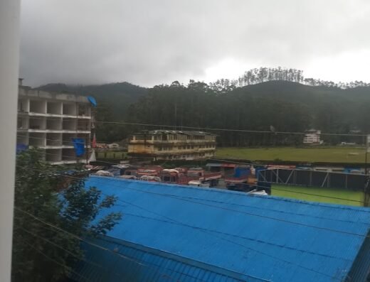 Munnar Days