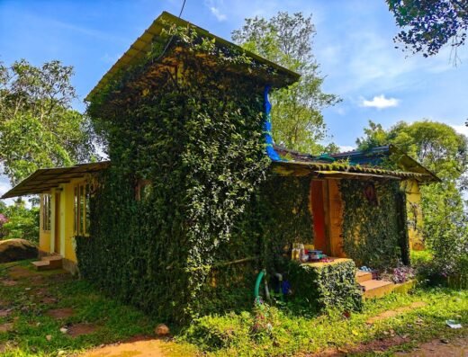 Munnar Farmstay John’s green rocks