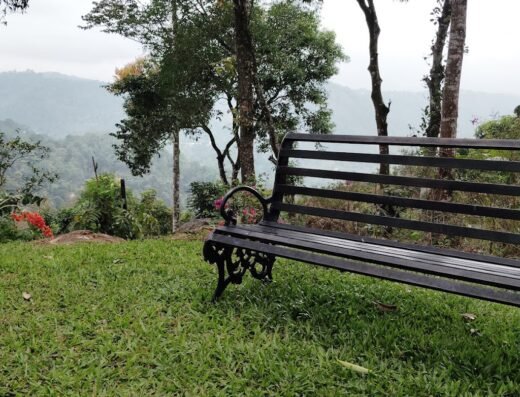 Munnar Farmstay John’s green rocks