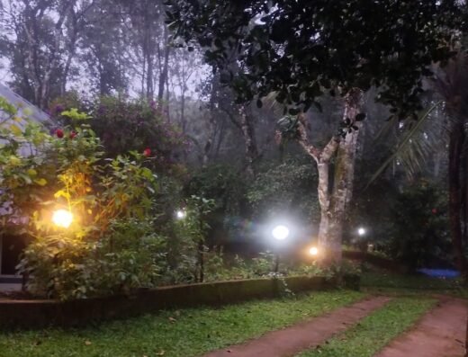 Munnar Farmstay John’s green rocks