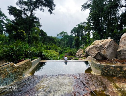 Nedumparayil Farmstay