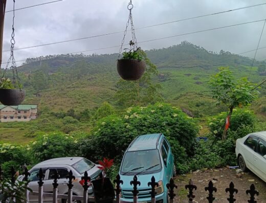 Nethra Homestay Munnar