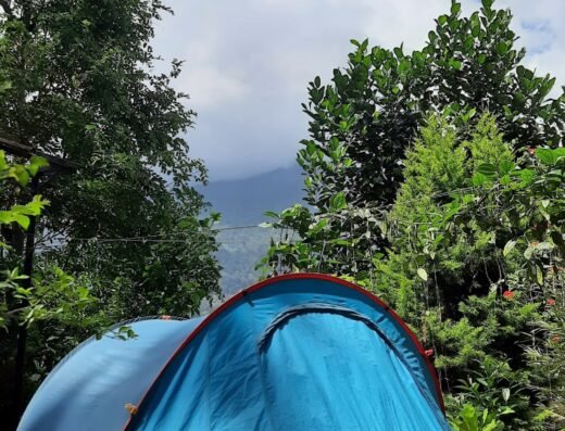 Pepper County Farm Stay