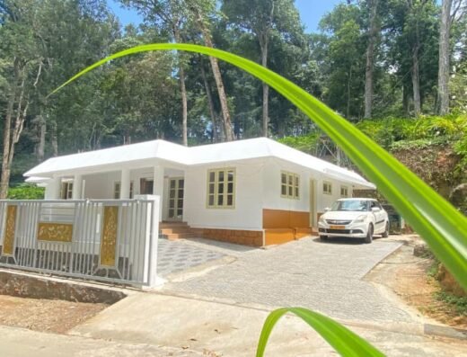 Rain tree Cottage Munnar