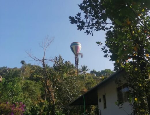 Simple Stays Munnar – The Best Home Stay in Munnar