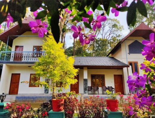 Skyes Glamping Resort Munnar