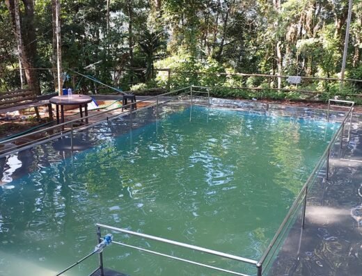 The Mount Court Munnar